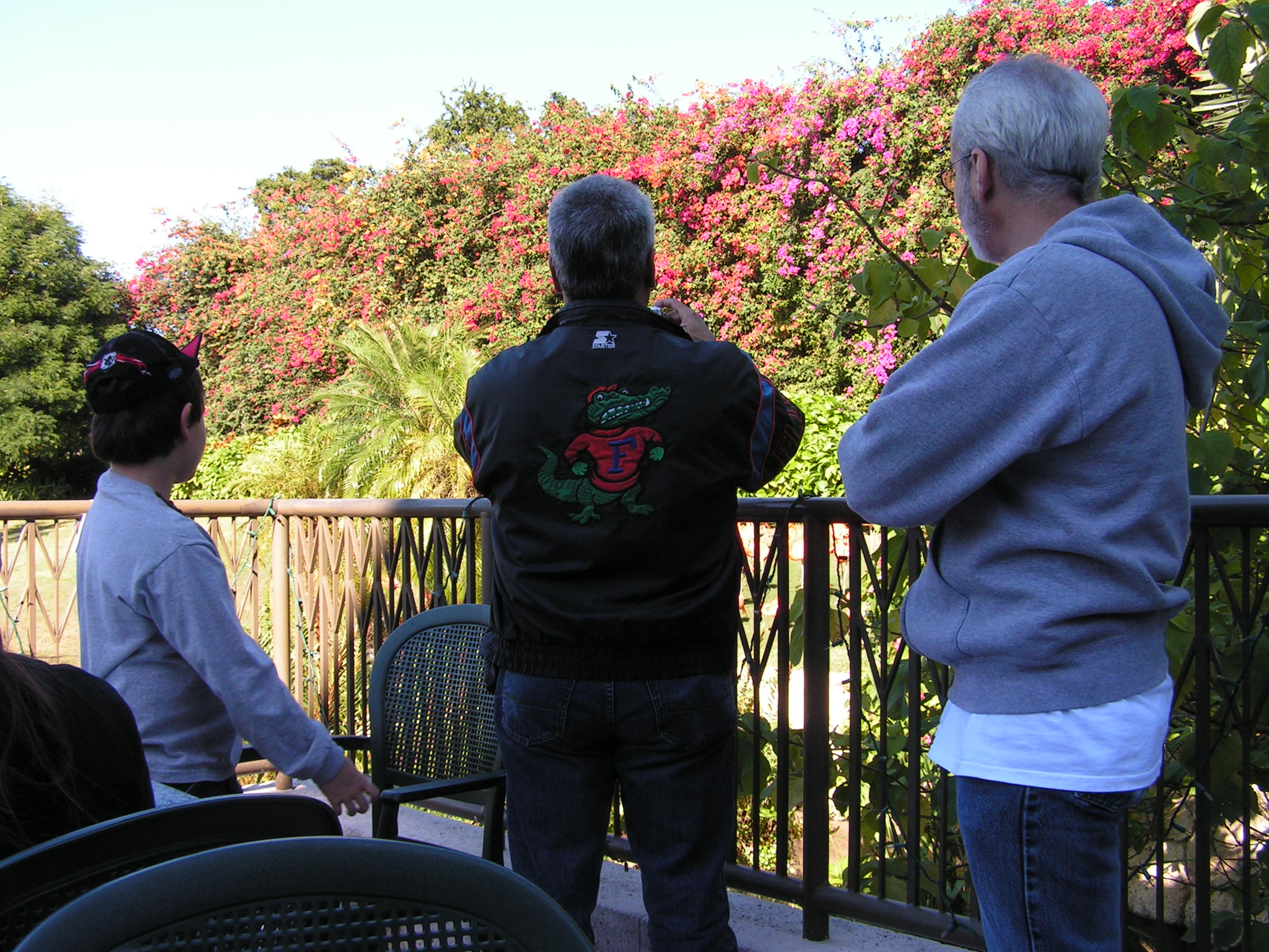 ./2006/Christmas/Parrot Jungle/PICT0291.JPG